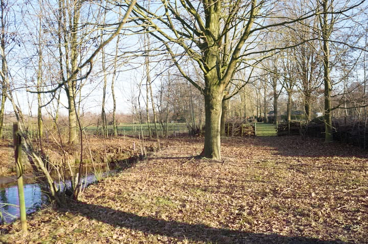 Foto 39 van Wolfsnest 6