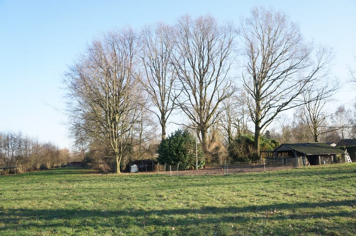 Foto 41 van Wolfsnest 6