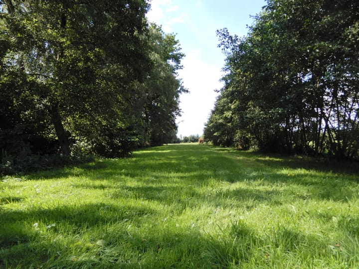 Foto 43 van Wolfsnest 6