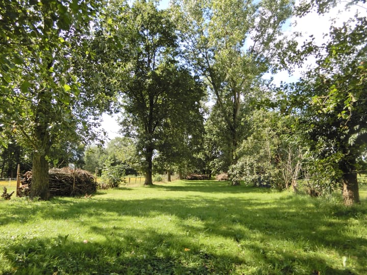 Foto 46 van Wolfsnest 6