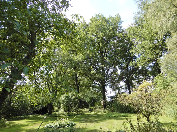 Foto 47 van Wolfsnest 6