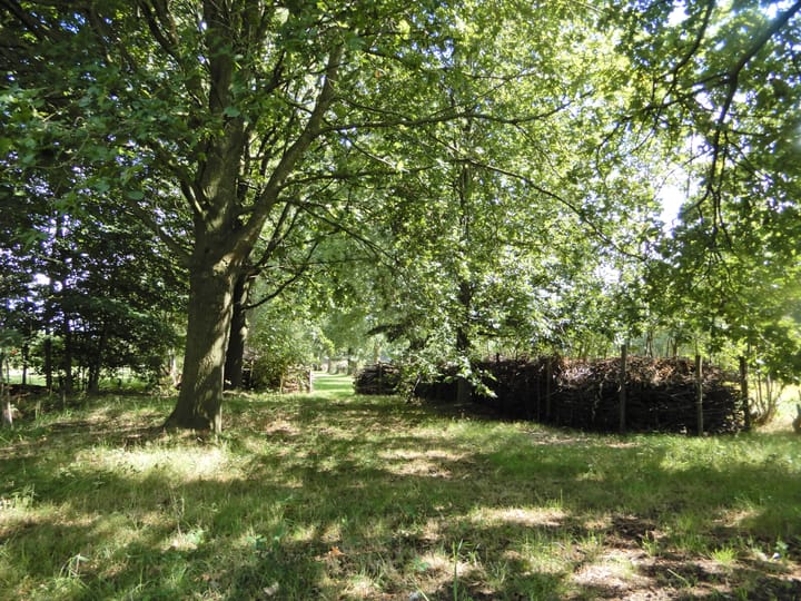 Foto 48 van Wolfsnest 6