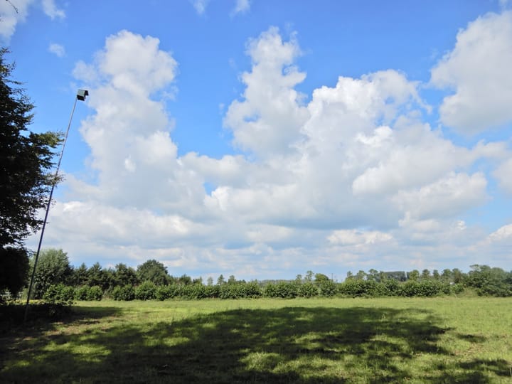 Foto 49 van Wolfsnest 6