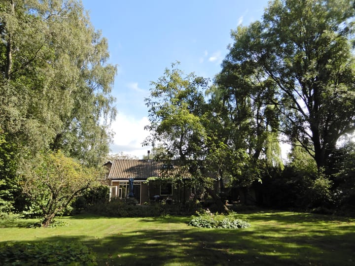 Foto 50 van Wolfsnest 6