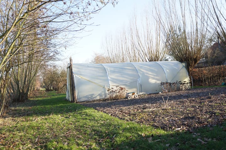 Foto 44 van Wolfsnest 6