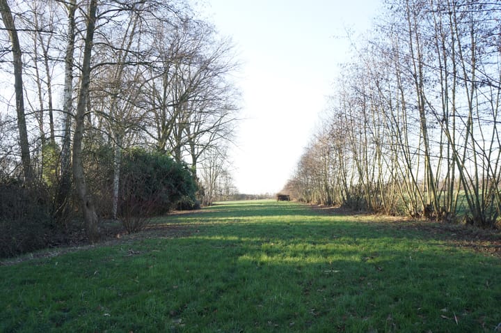 Foto 42 van Wolfsnest 6