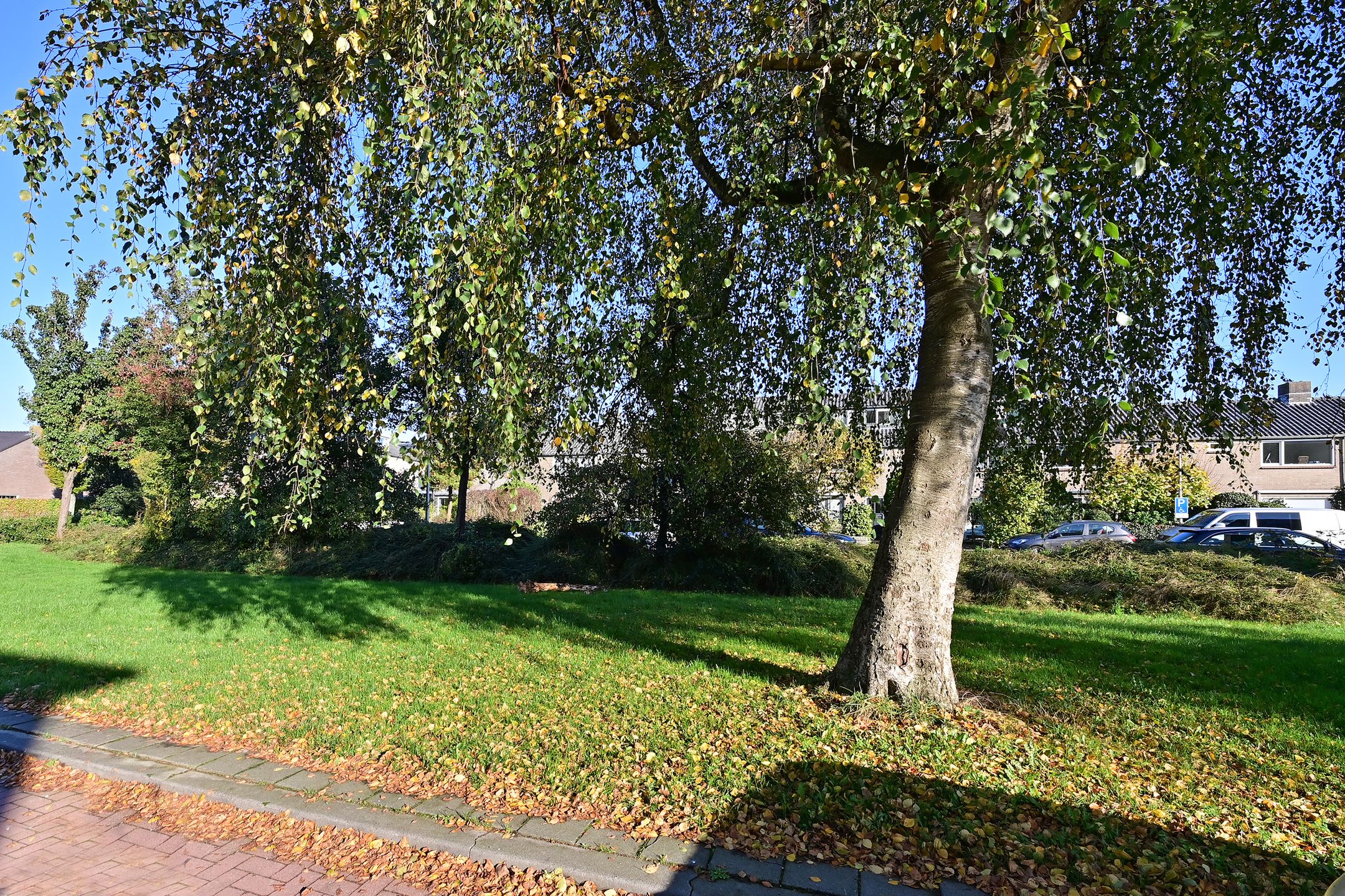 Photo 18 of E. de Bruynstraat 110