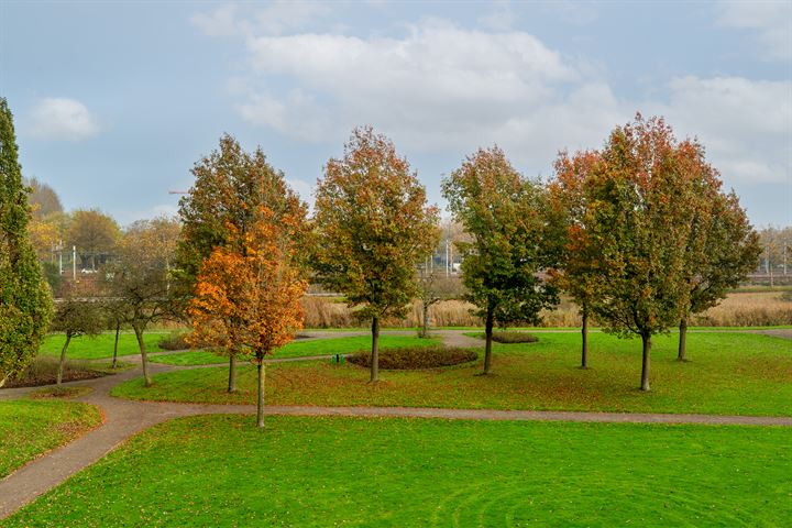 Bekijk foto 47 van West-Varkenoordseweg 355-B