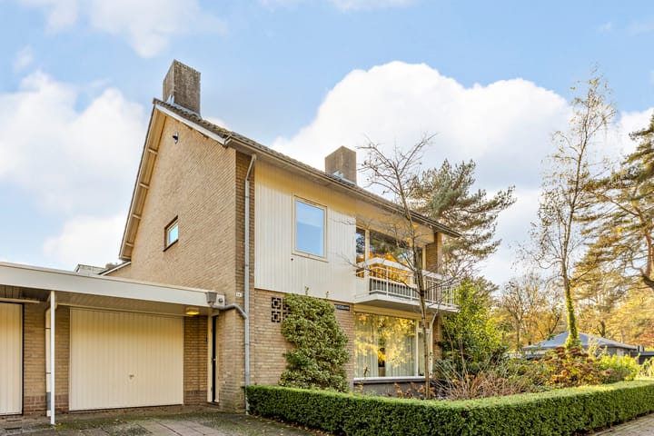 Foto 1 van Statenlaan 141