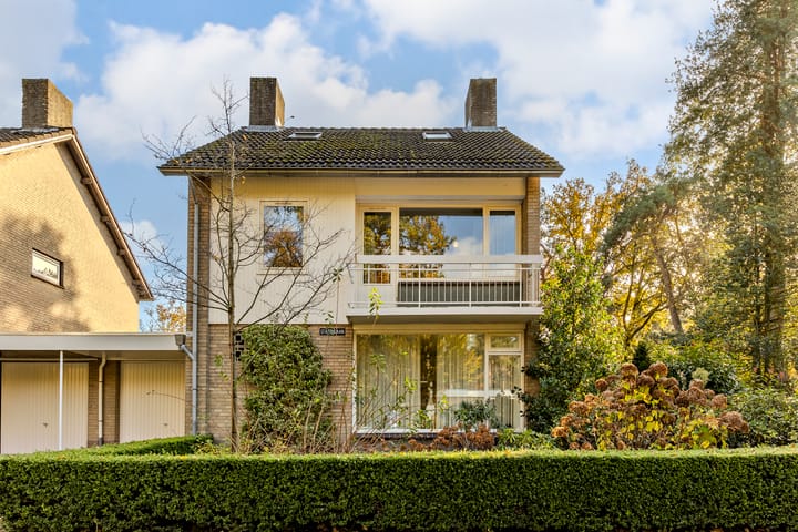 Foto 59 van Statenlaan 141