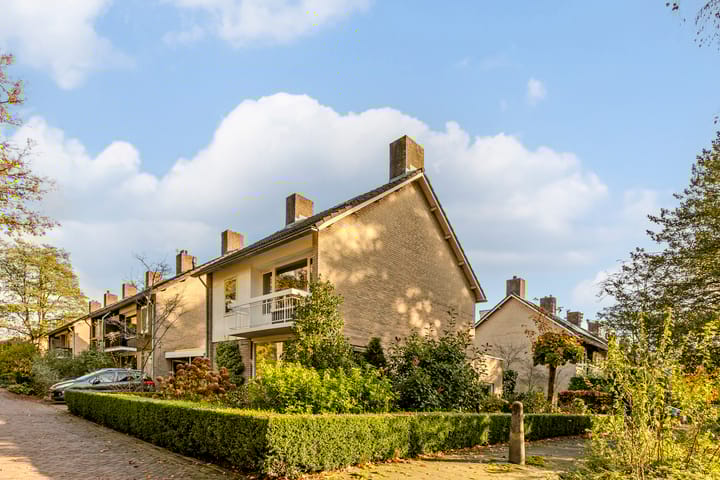 Foto 60 van Statenlaan 141