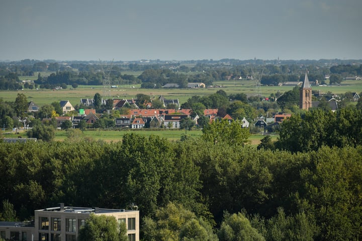 Bekijk foto 14 van IJdoornlaan 261-R3