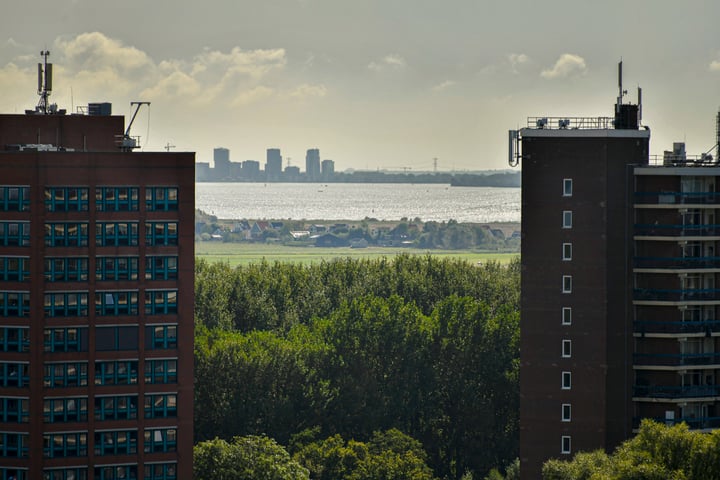 Bekijk foto 15 van IJdoornlaan 261-R3