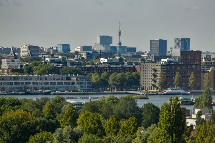 Bekijk foto 16 van IJdoornlaan 261-R3