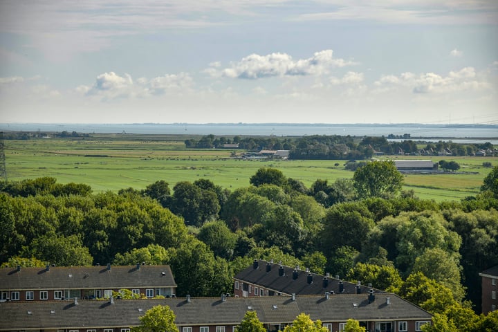 Bekijk foto 18 van IJdoornlaan 261-R3