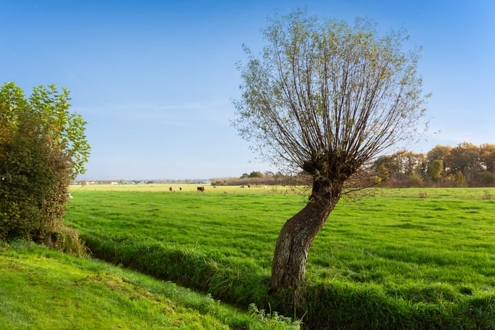 Foto 3 van Weidedreef 110