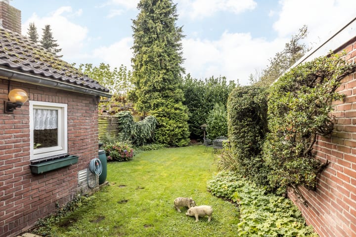 Foto 31 van Boerhaavestraat 11