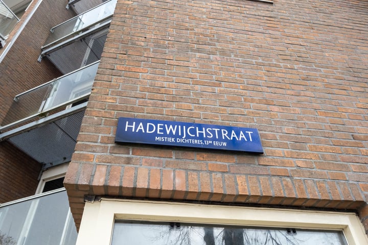 Bekijk foto 31 van Hadewijchstraat 143