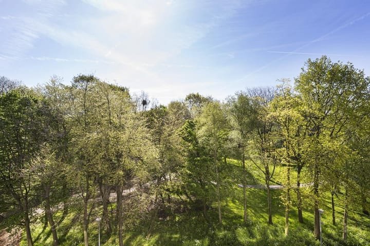 Foto 5 van Burgemeester Stulemeijerlaan 68