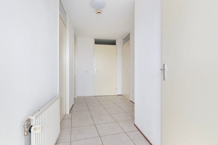 Foto 9 van Iepenwede 8