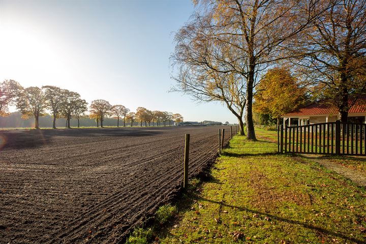 Bekijk foto 2 van Graaf Floris V weg 30