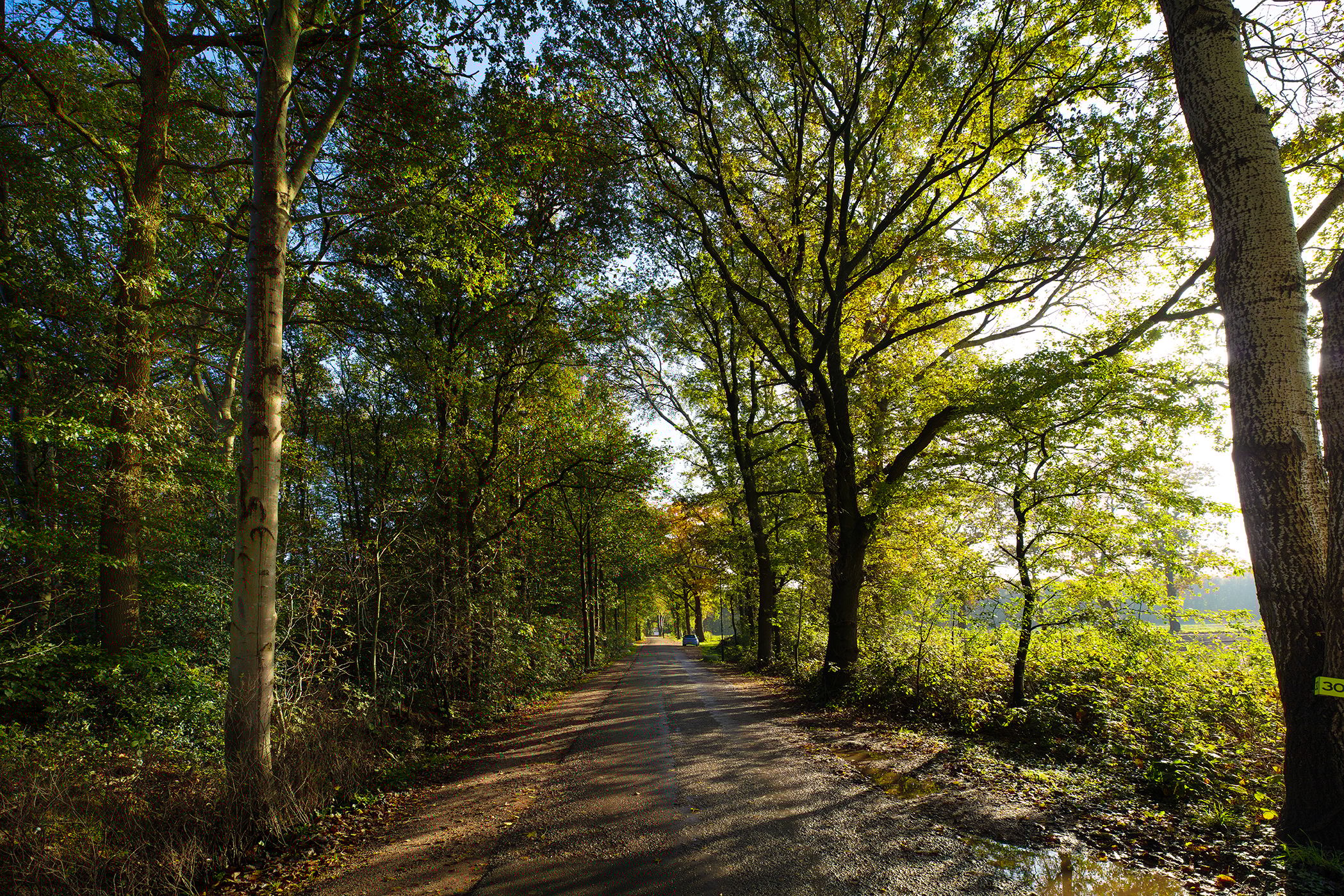 Foto 33 van Graaf Floris V weg 30