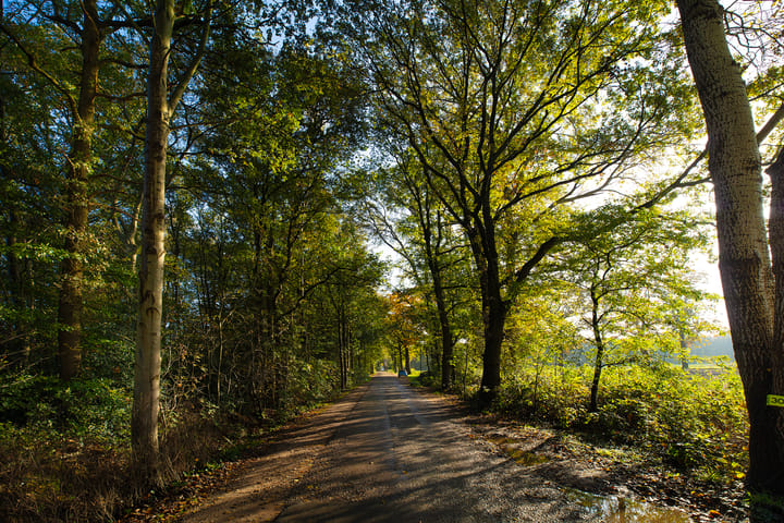 Foto 33 van Graaf Floris V weg 30