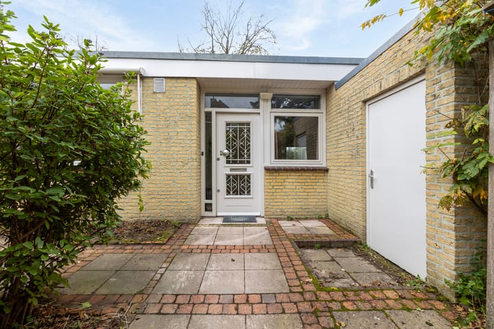 Foto 2 van Tigris 21