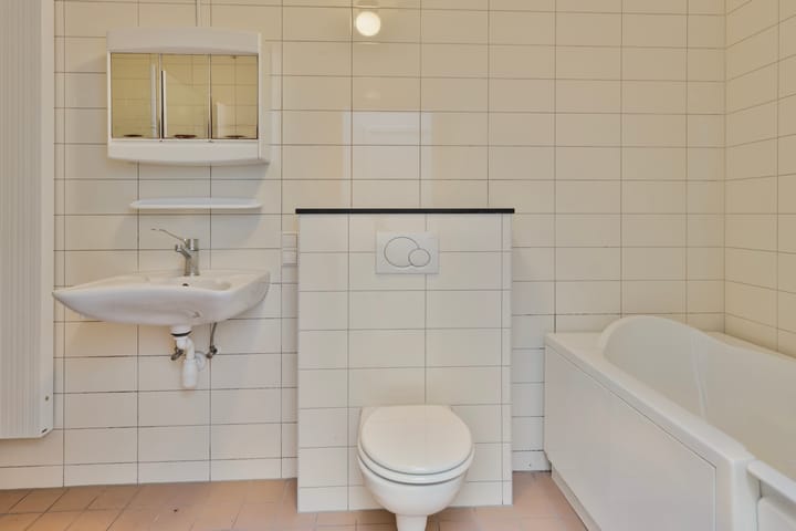 Foto 18 van Tigris 21