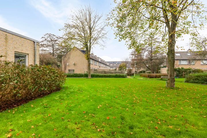 Foto 21 van Tigris 21