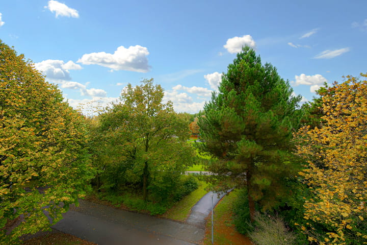 Foto 22 van Mandolinestraat 9