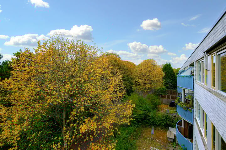 Foto 23 van Mandolinestraat 9