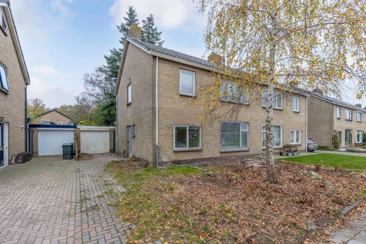 Foto 2 van Bouriciuslaan 57