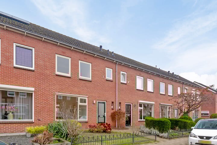 undefined main image