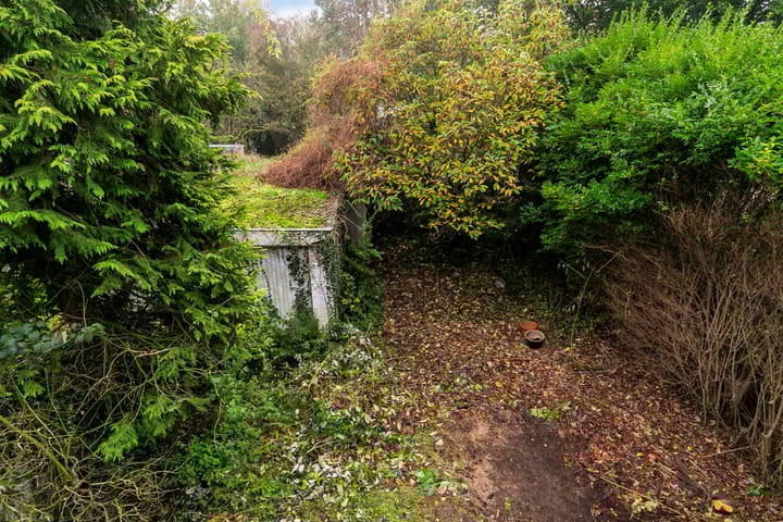 Foto 25 van Groenewoudseweg 311