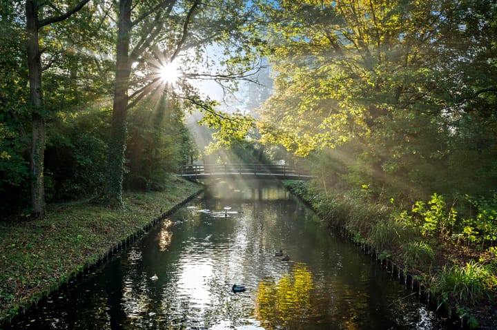 Foto 39 van Santhorst 71