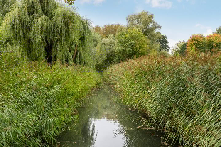 Foto 46 van Pruimengaarde 23