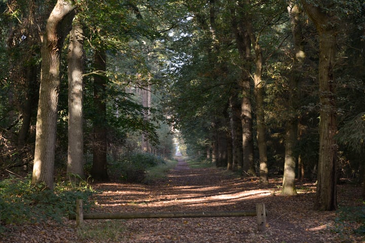 View photo 3 of Hilversumsestraatweg 20