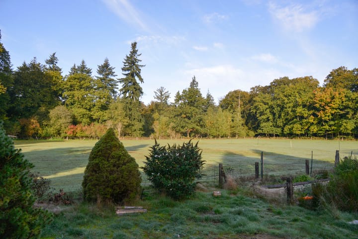 Photo 8 of Hilversumsestraatweg 20