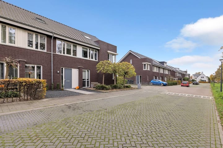 Foto 2 van Pattagon 4