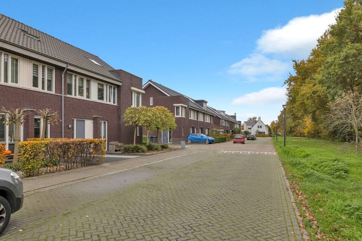 Foto 4 van Pattagon 4