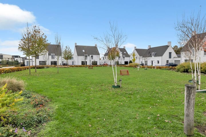 Foto 39 van Pattagon 4