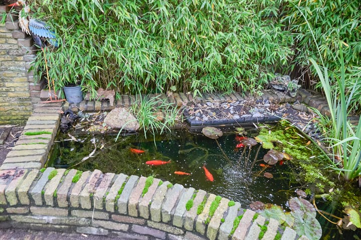 Foto 43 van Jagtlust 3