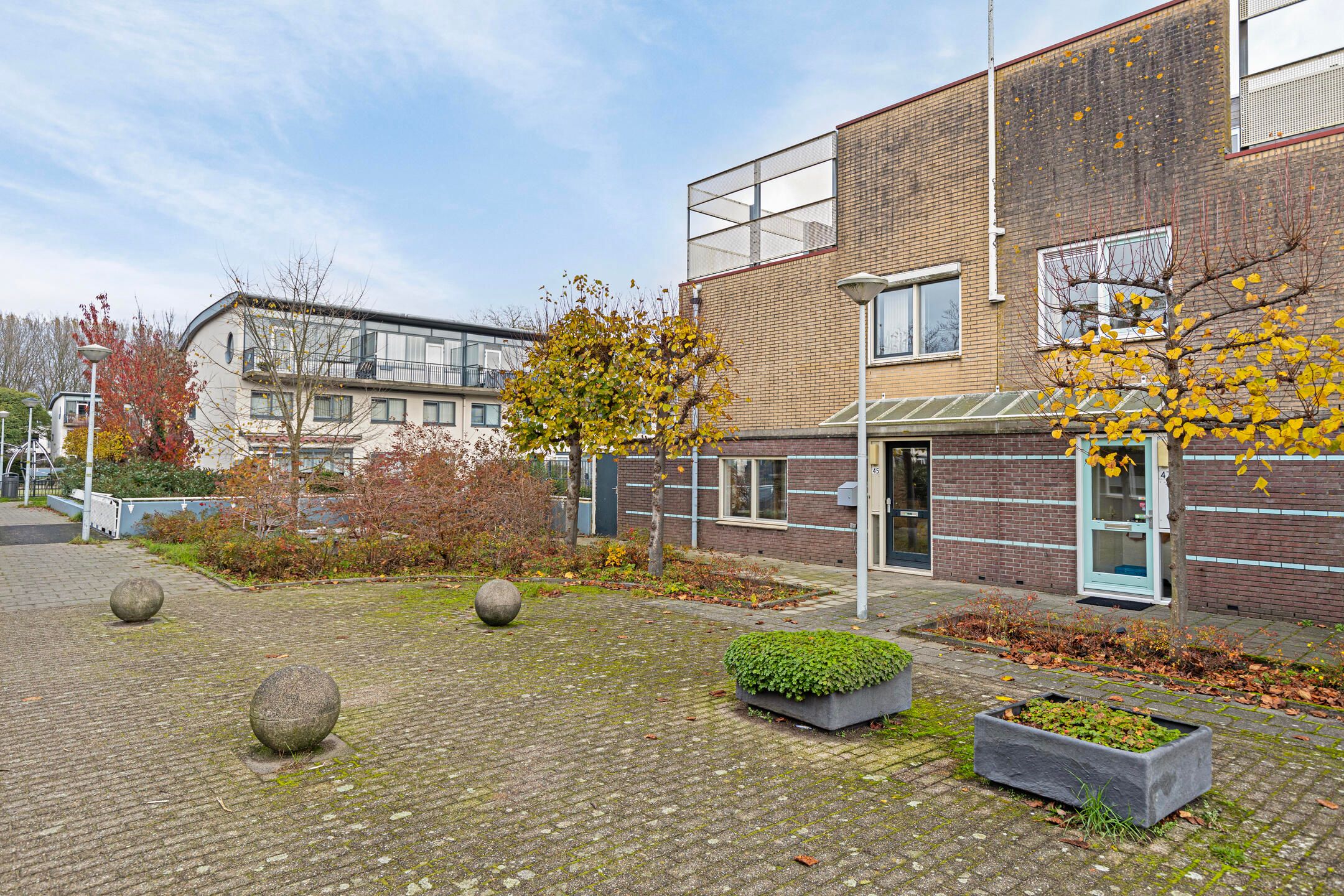 Foto 6 van Dwergvinvisstraat 45