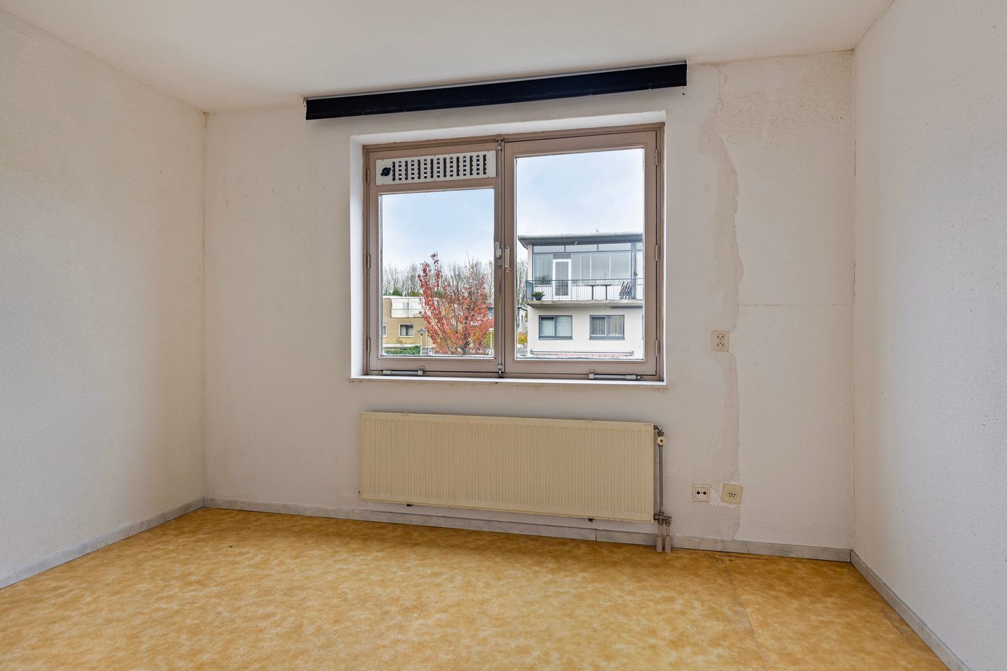 Foto 19 van Dwergvinvisstraat 45