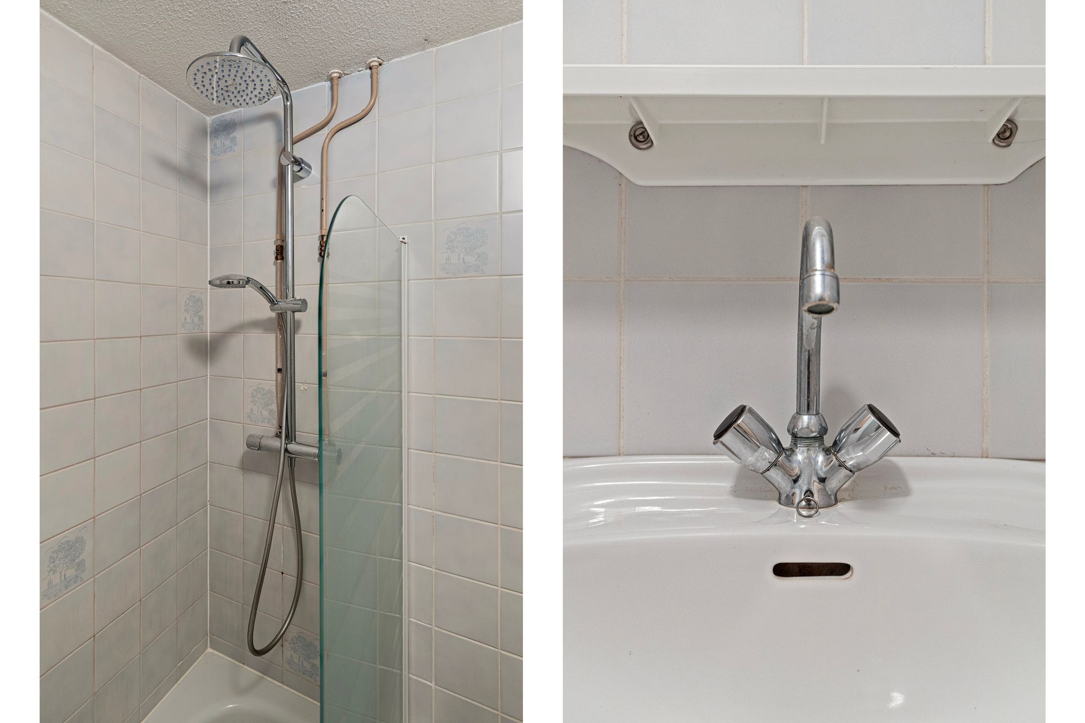 Foto 21 van Dwergvinvisstraat 45