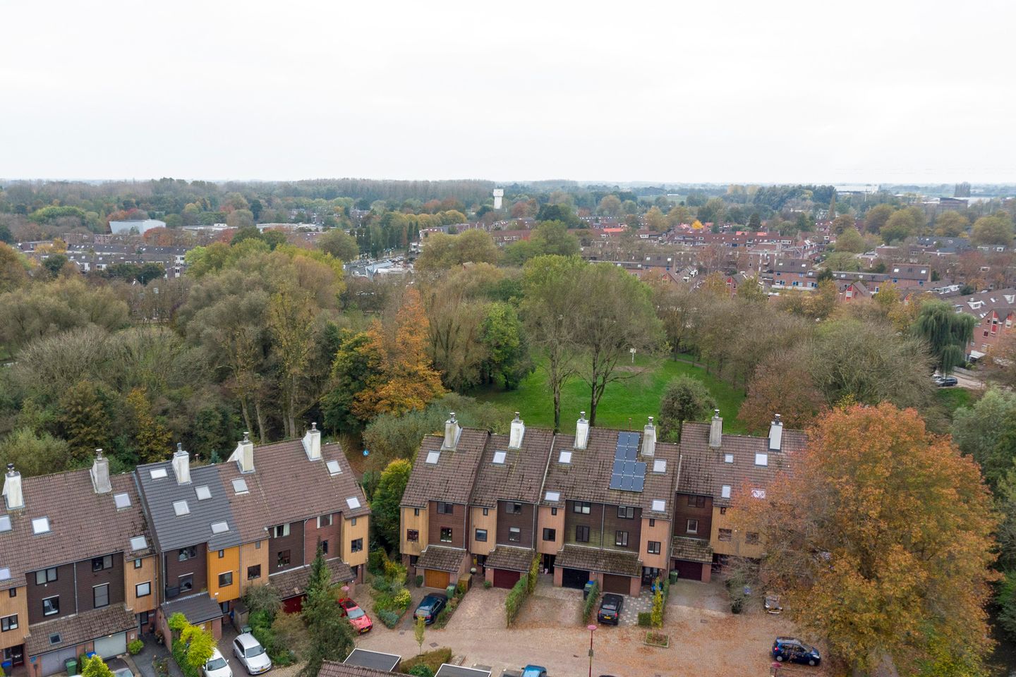 Foto 1 van Sierduif 45