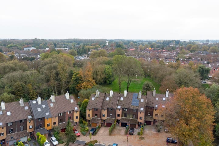 Foto 1 van Sierduif 45