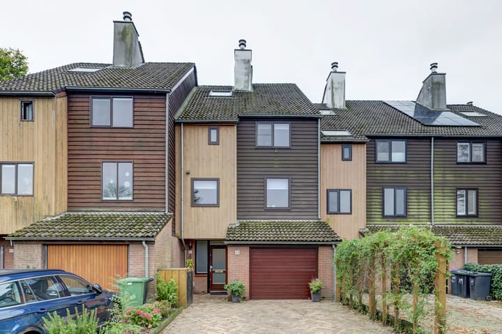 Foto 2 van Sierduif 45