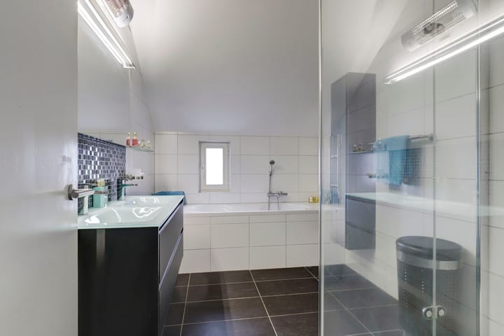 Foto 4 van Sierduif 45